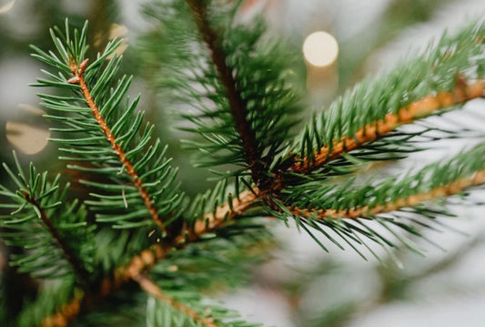 The Season of Enough: Finding Peace When the World Keeps Asking for More