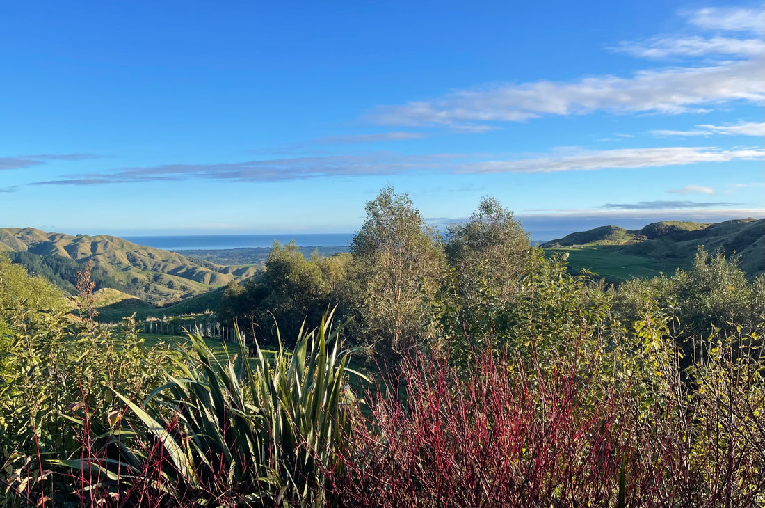 Unplug to Realign: The Spiritual Power of Stepping Away