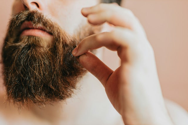 Why Beard Care Matters & How to Care for your Beard
